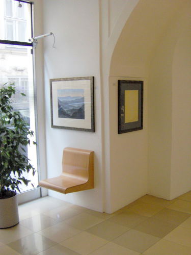 Ausstellungser&ouml;ffnung 12. M&auml;rz 2007, Altes Rathaus, Wipplingerstr. 8, Wien l