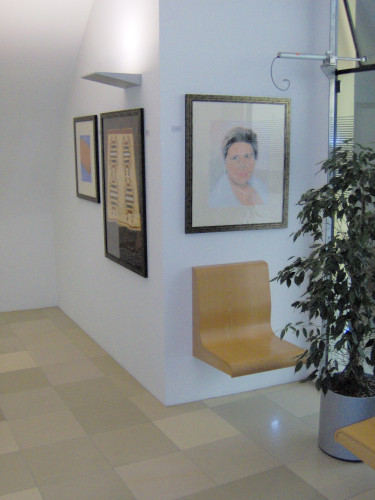 Ausstellungser&ouml;ffnung 12. M&auml;rz 2007, Altes Rathaus, Wipplingerstr. 8, Wien l